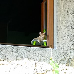 img_20260831_120246.jpeg