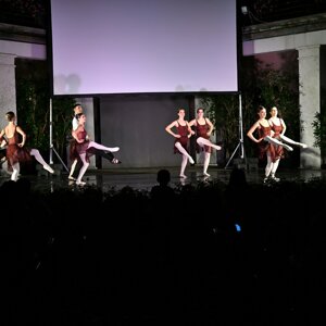 dsc_1379.jpeg