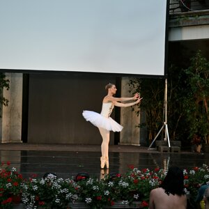 dsc_1257.jpeg