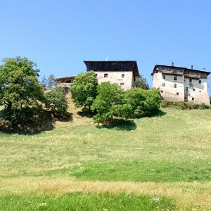 img_20260722_144935.jpeg