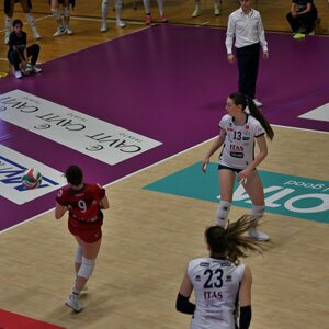dsc_8731.jpeg