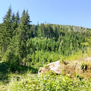 img_20260704_110147.jpeg