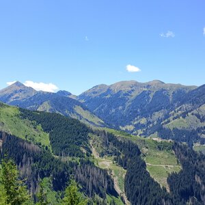 img_20260704_130846.jpeg