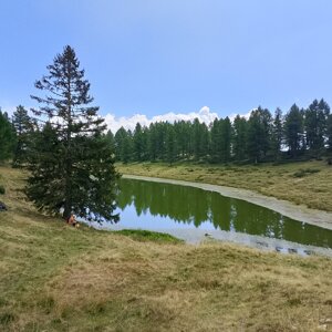 img_20260819_154854.jpeg