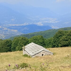 img_20260729_150230.jpeg