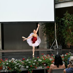 dsc_1225.jpeg