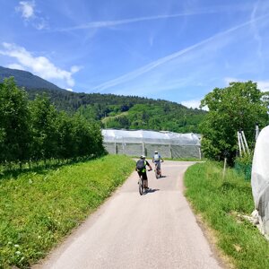 28)%20img_20260607_120000.jpeg