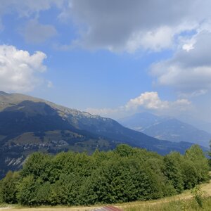 img_20260729_140936.jpeg