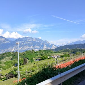 03)%20img_20260509_095739.jpeg