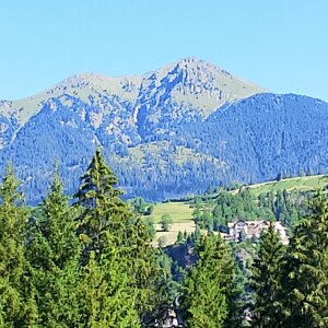 img_20260704_093025.jpeg