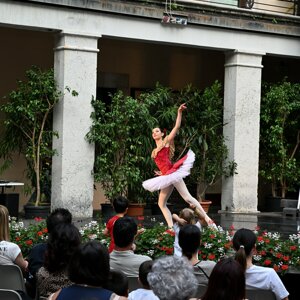 dsc_1222-1.jpeg