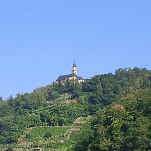 img_20260805_110429.jpeg