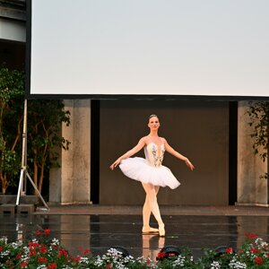 dsc_1244.jpeg