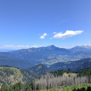 img_20260716_120229.jpeg
