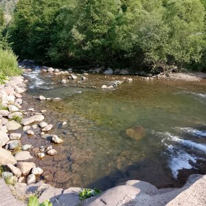 img_20260713_090843.jpeg