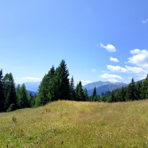 img_20260722_123120.jpeg