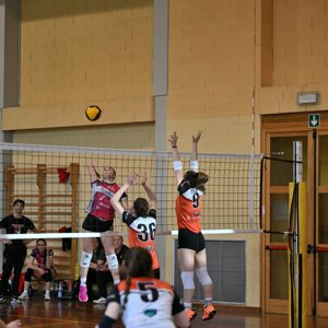 dsc_9704.jpeg