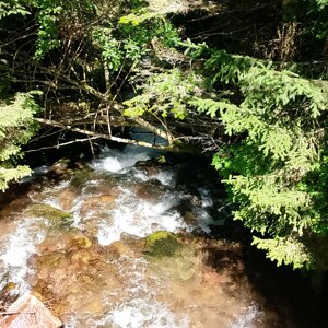 img_20260704_104103.jpeg