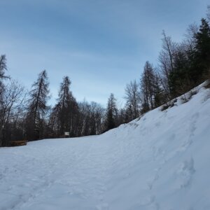 dji_20260305154031_0026_d.jpeg