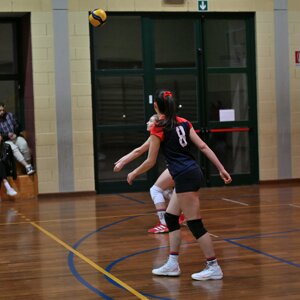 dsc_9913.jpeg