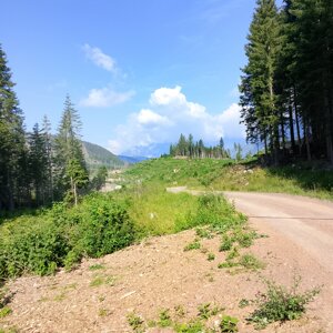 img_20260713_101508.jpeg