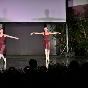 dsc_1410.jpeg