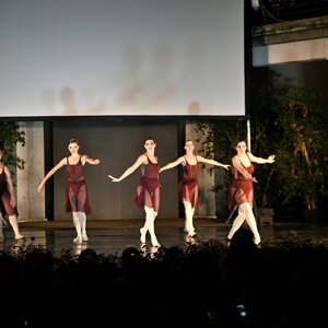 dsc_1356.jpeg