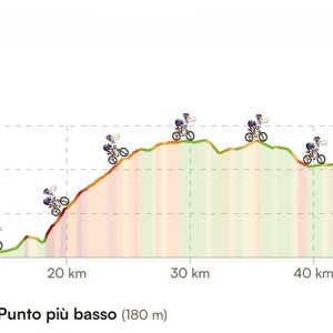 ponte%20mattarello%20whatsapp%20image%202026-04-09%20at%2012.27.04%20(1).jpeg