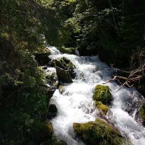 img_20260704_110212.jpeg