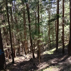 img_20260709_094733.jpeg