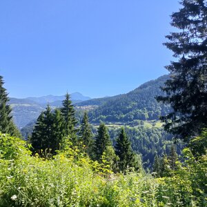 img_20260709_101438.jpeg