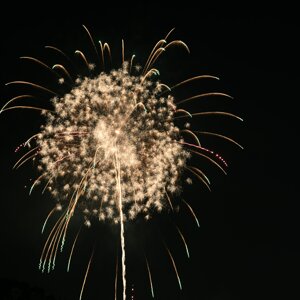dsc_2204.jpeg