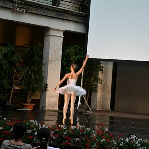 dsc_1260.jpeg