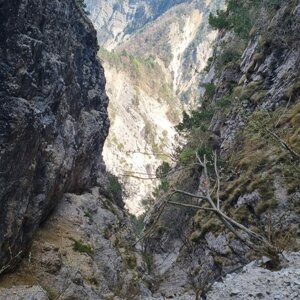 vecchia%20fricca%20whatsapp%20image%202026-04-09%20at%2017.23.38%20(1).jpeg