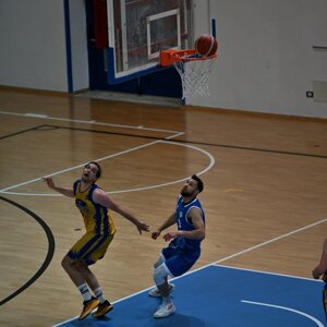 dsc_0223.jpeg