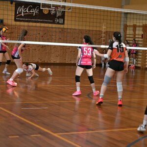 dsc_9696.jpeg