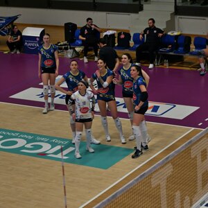 dsc_8593.jpeg