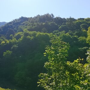 03)%20img_20260607_091454.jpeg