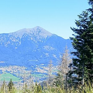 img_20260704_111005.jpeg