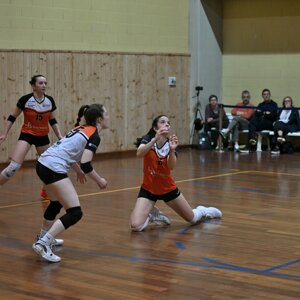 dsc_10013.jpeg