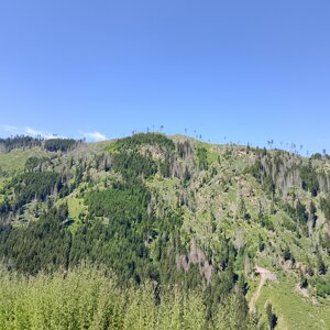 img_20260704_111001.jpeg