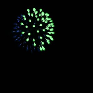 dsc_2195.jpeg