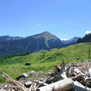 img_20260704_120025.jpeg