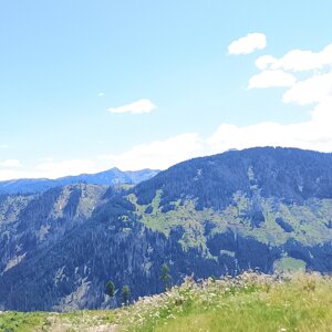 img_20260716_120419.jpeg