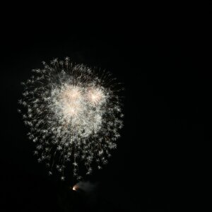 dsc_2201.jpeg