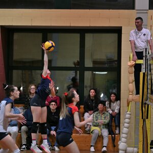 dsc_10004.jpeg