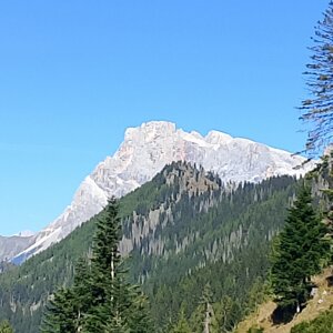 img_20260927_135008.jpeg