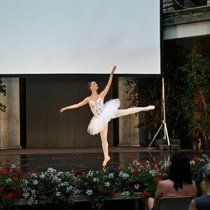dsc_1251.jpeg