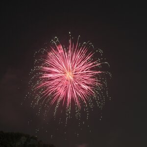 dsc_2169.jpeg