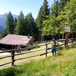img_20260709_111118.jpeg